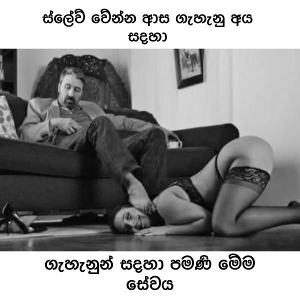 6795ce2d5d06cWjSztTs9zX1737870893