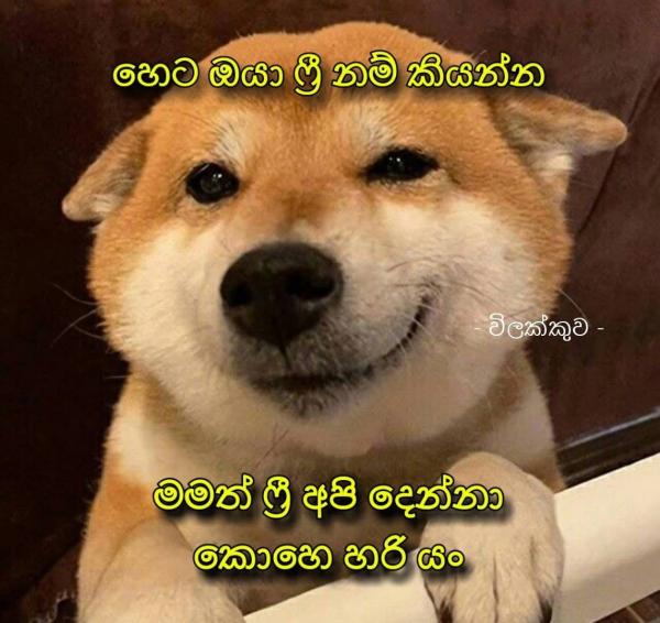 67af7ce3377d4MNXGWhdkyE1739554019