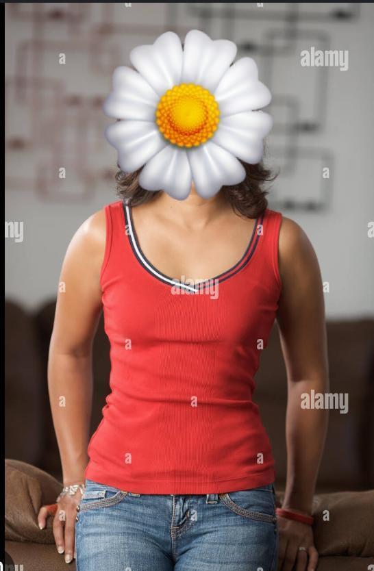 683699445bb81xM1GDObkUQ1748408644