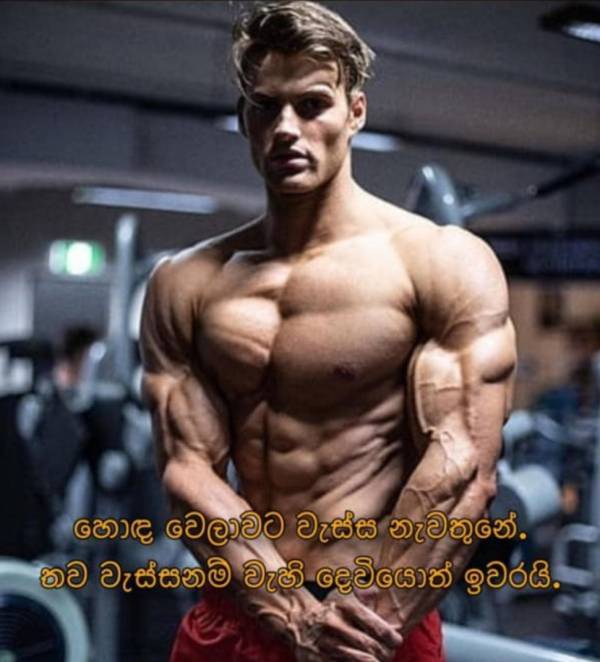 6970379fcf102mJaMYDXcEW1768961951