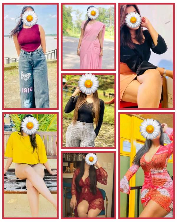 69784eed22e92vMvqBlbpzN1769492205