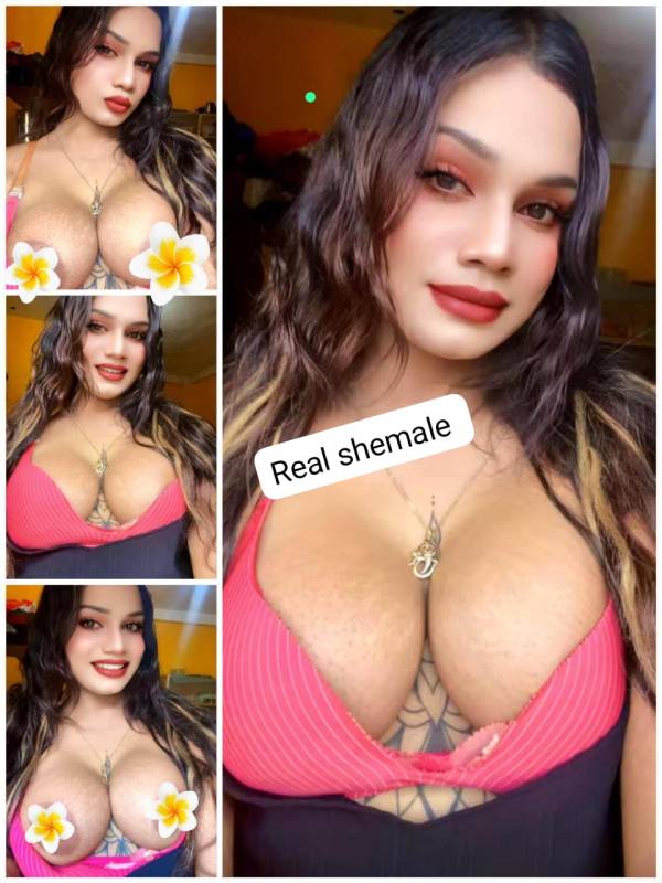 69ba8ea4ec344g9vNly8URA1773833892