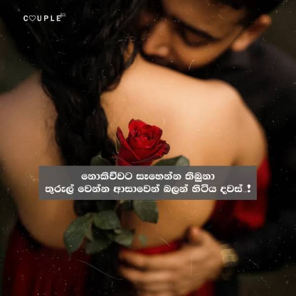69cceb16262a5pgl58AN0Sc1775037206