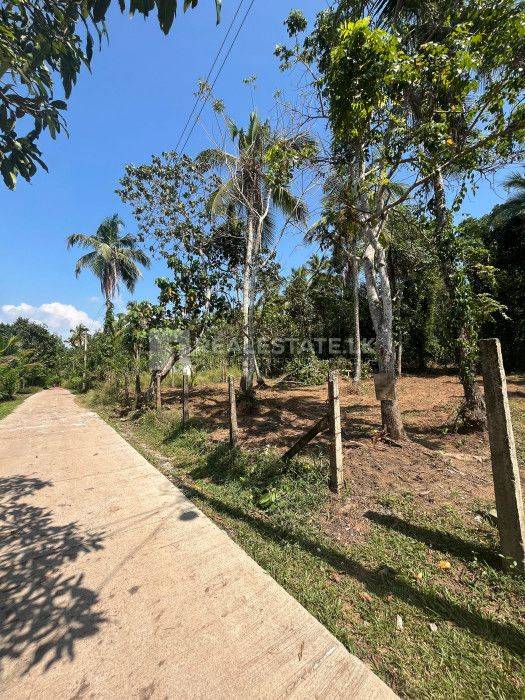 Land for sale in Gampaha, Udugampola.