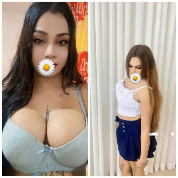 69f491656cf0715M40F8IvD1777635685