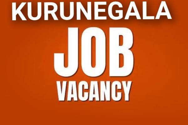 🌸කුරුණෑගල ▪️ JOB VECANCY ▪️🟥විස්වාසනීයව ආරක්ෂකාරීව සේවය කිරීමට🌸