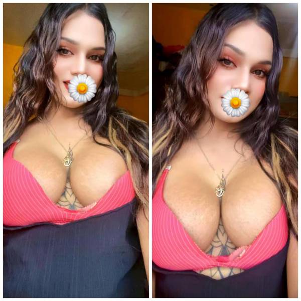 Verified Shemale Cam Show Beautiful Shemale Genuine Live Cam Show Available ❤️😇