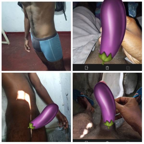6a43e26f56b96PjZijt5oJu1782833775