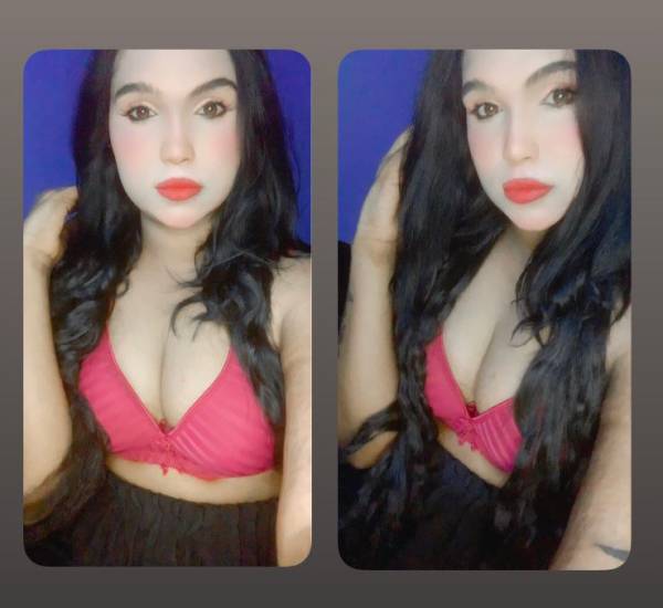6a477c7850df8BXeSxk7XTO1783069816